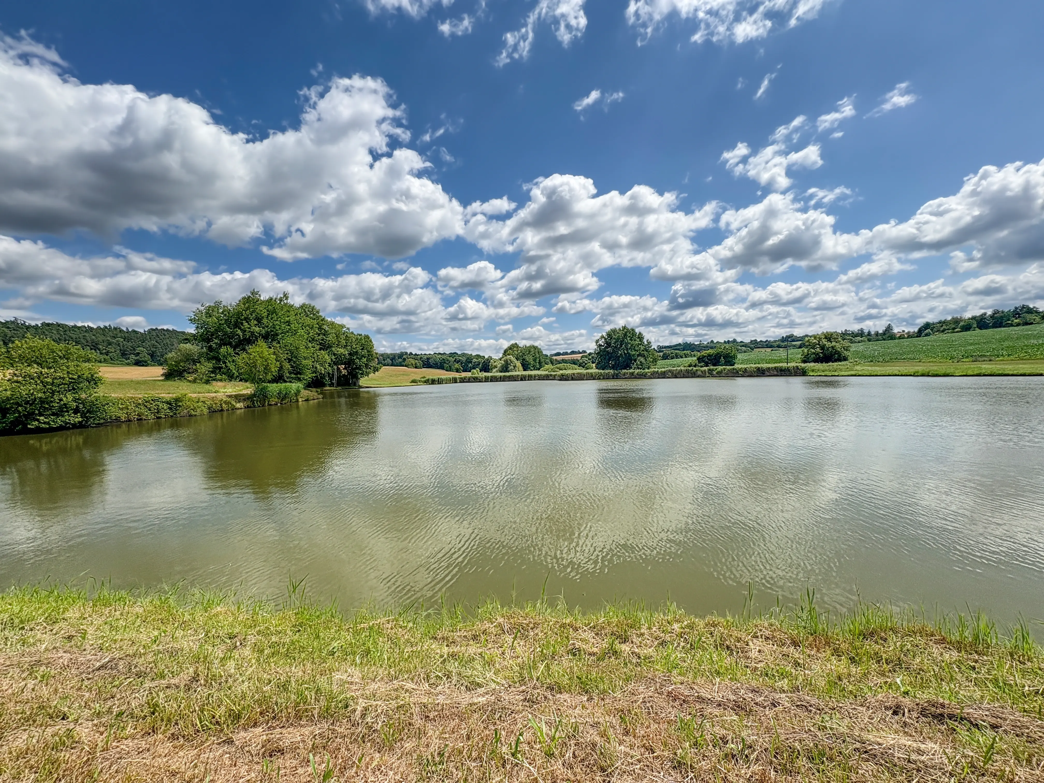 Letní jezero s odrazem oblak na hladině.