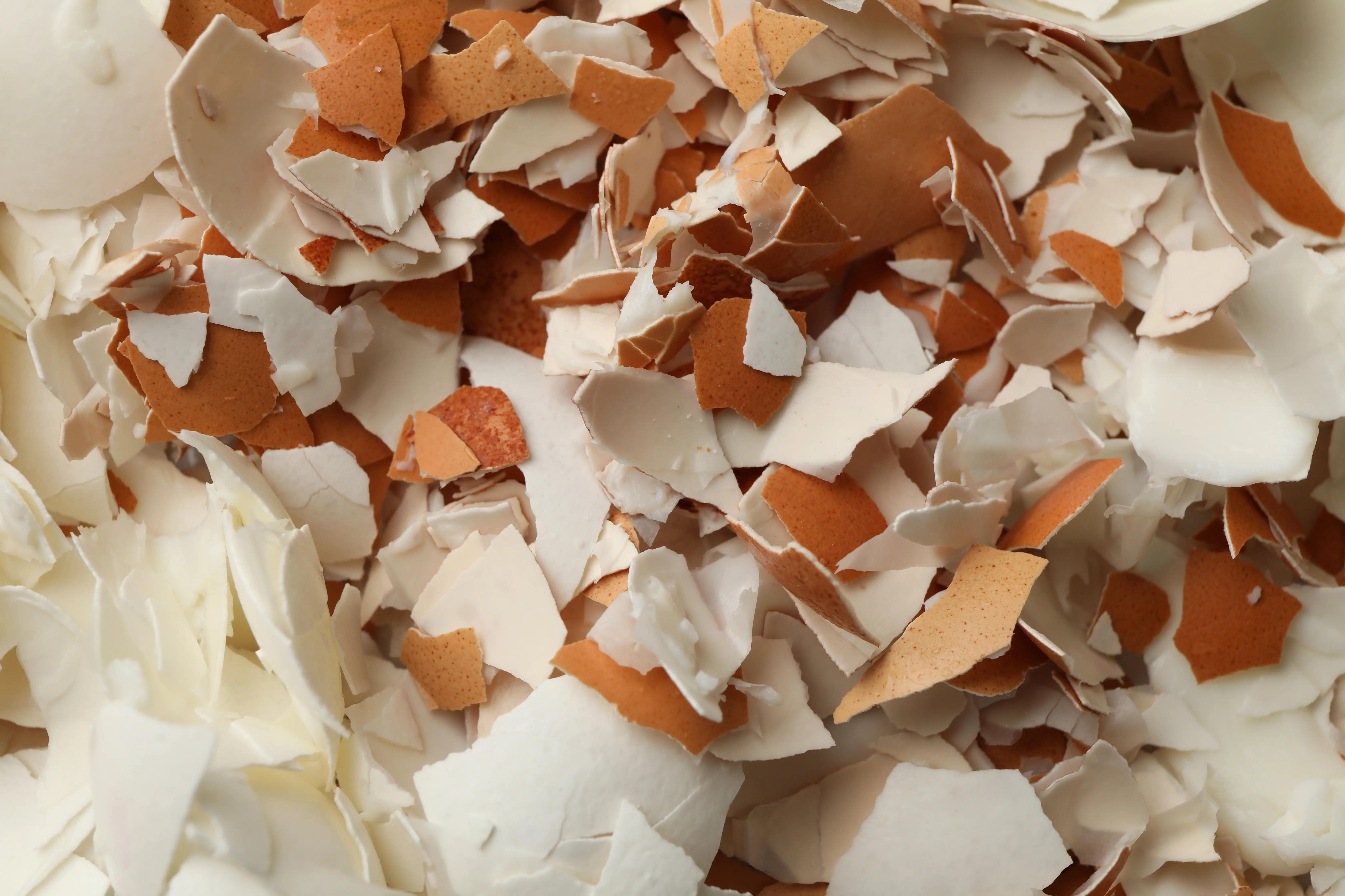 Rozdrcené vaječné skořápky na dřevěném prkénku