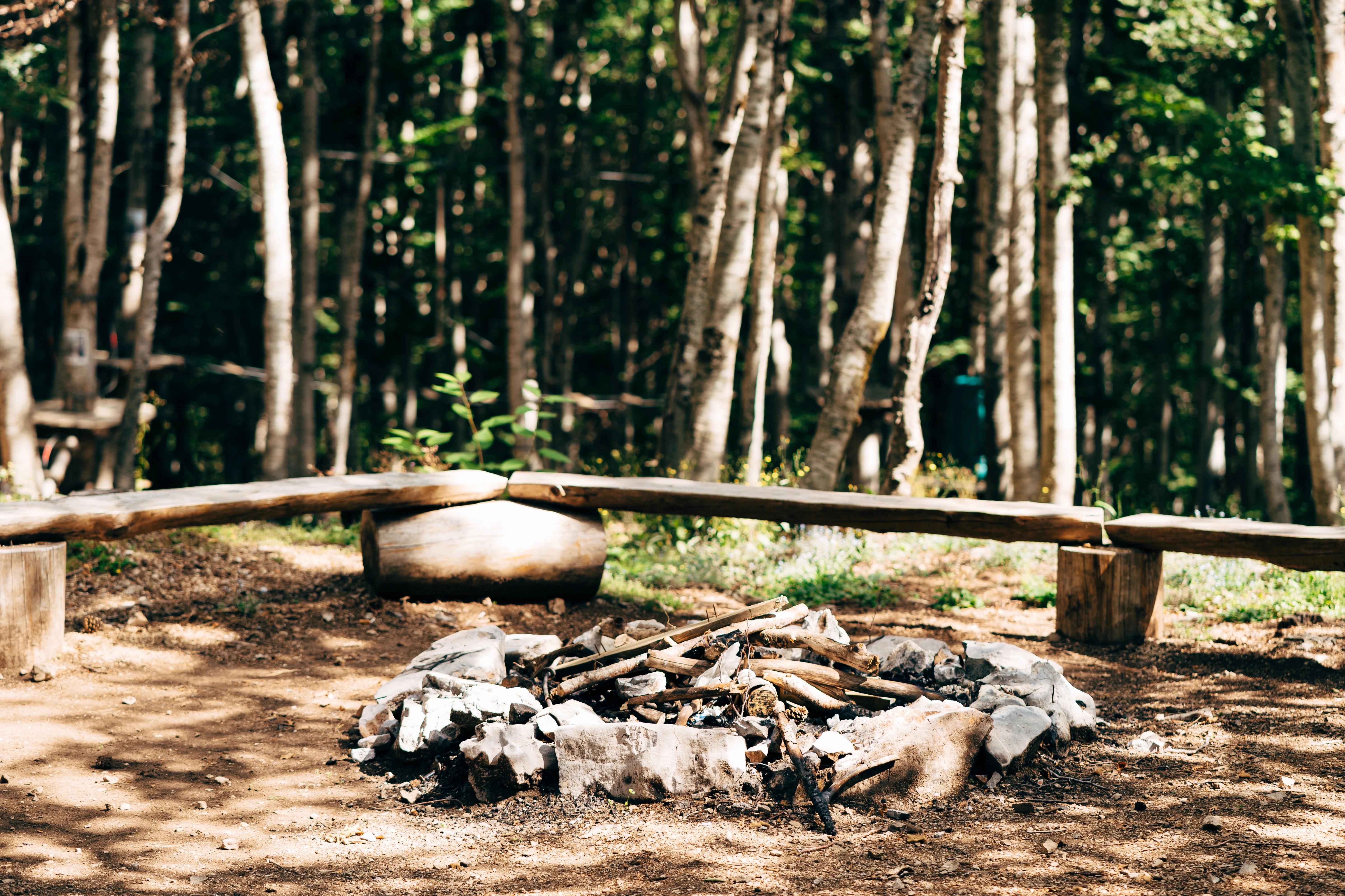 Kruhové ohniště obklopené jednoduchými lavičkami z klád uprostřed lesa