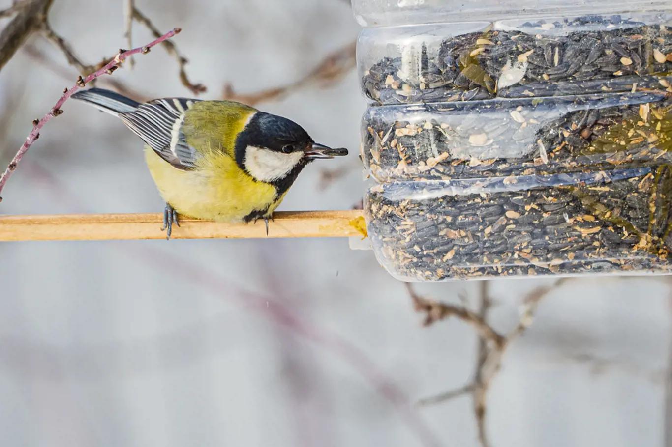 Moderní zahradní krmítko z ekologických materiálů, ideální pro přilákání ptáků do vaší zahrady.